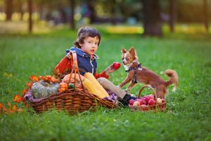 Dzieci i zwierzęta - zalety posiadania psa